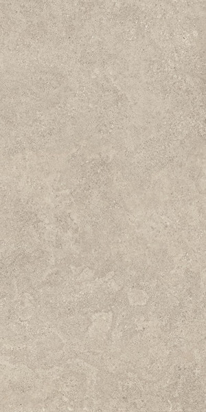 Emil Landscape Cenere 40x80 cm Feinsteinzeug silktech