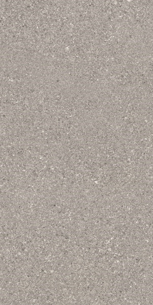 Ergon Grainstone Grey Rough Grain 60x120 cm Tecnica R11C rekt.
