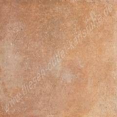 Sichenia Teqa 60,5x60,5 cm cotto, 1.Sortierung