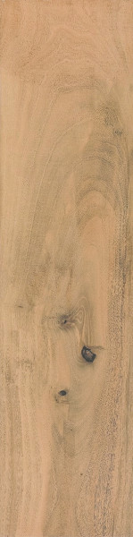 Ergon Woodtalk Out beige digue 40x120x2 cm Terrassenplatte