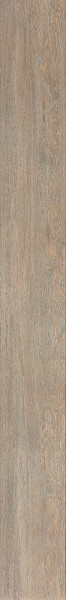 Selection Oak 20x120 cm Cream Oak matte