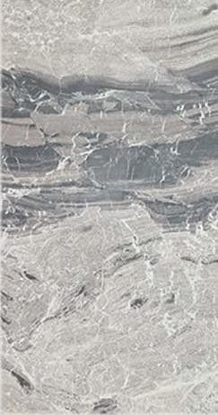 I Marmi di Rex 60x120 cm Marble Gray Shiny