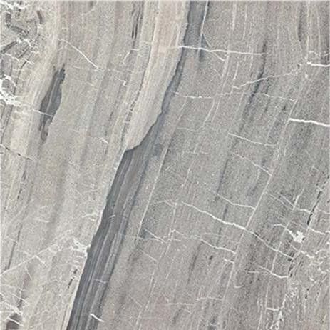 I Marmi di Rex 60x60 cm Marble Gray matte