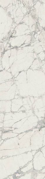 Prexious of Rex 30x120 cm Mountain Treasure matte