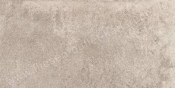Emil Petra grey 30x60 cm naturale Art.634P8R
