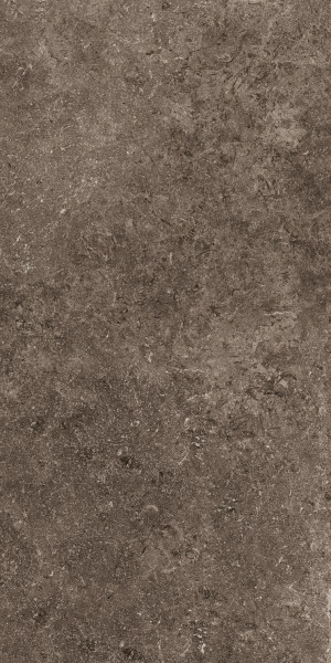 Cotto d`Este Secret Stone 60x120 cm Rare dark honed rett.