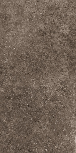 Cotto d`Este Secret Stone 60x120 cm Rare dark naturale rett.