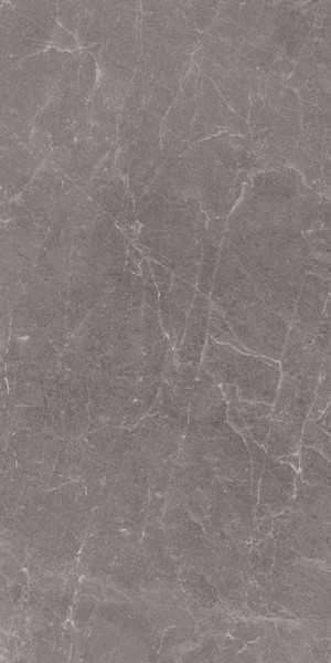 Kerlite 5plus Exedra 50x100x0,55 cm Rain grey Silk